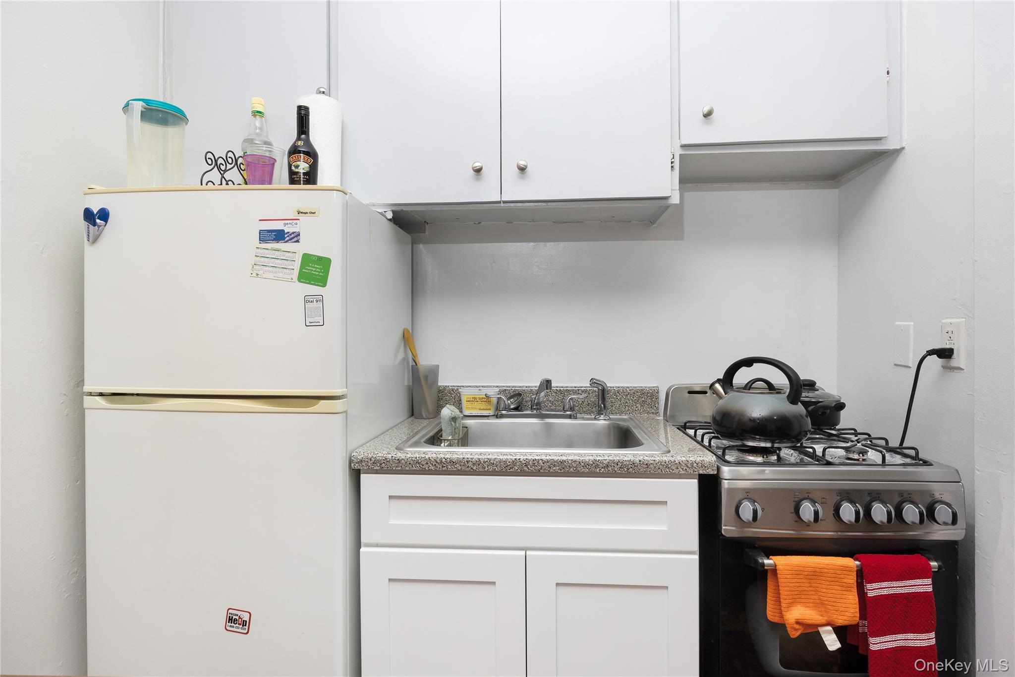 Single Family 18th Avenue  Queens, NY 11356, MLS-1004178-5
