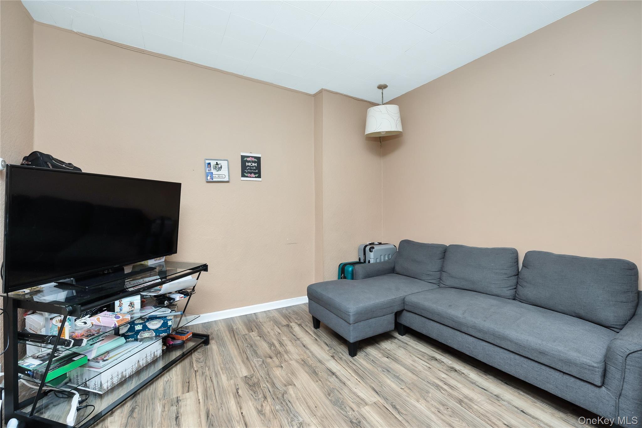 Single Family 18th Avenue  Queens, NY 11356, MLS-1004178-9