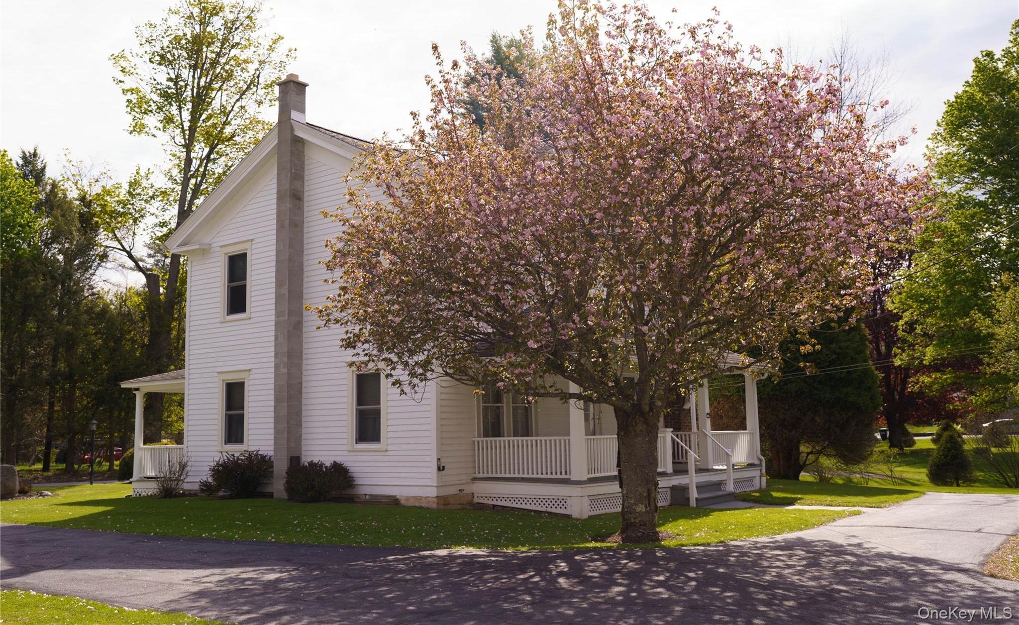 Single Family 2nd Avenue Sullivan County, NY 12764, MLS-1004257-10