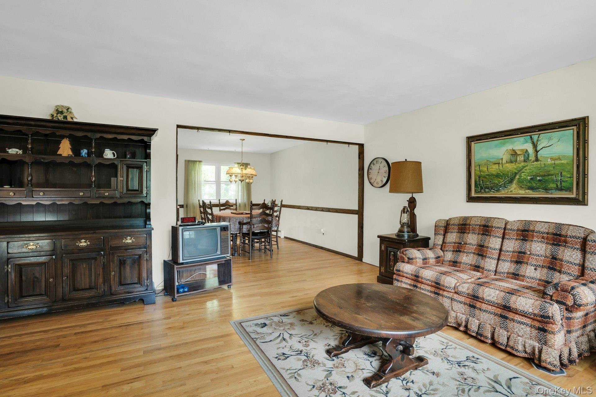 Single Family Daly Road  Suffolk County, NY 11731, MLS-1004271-9