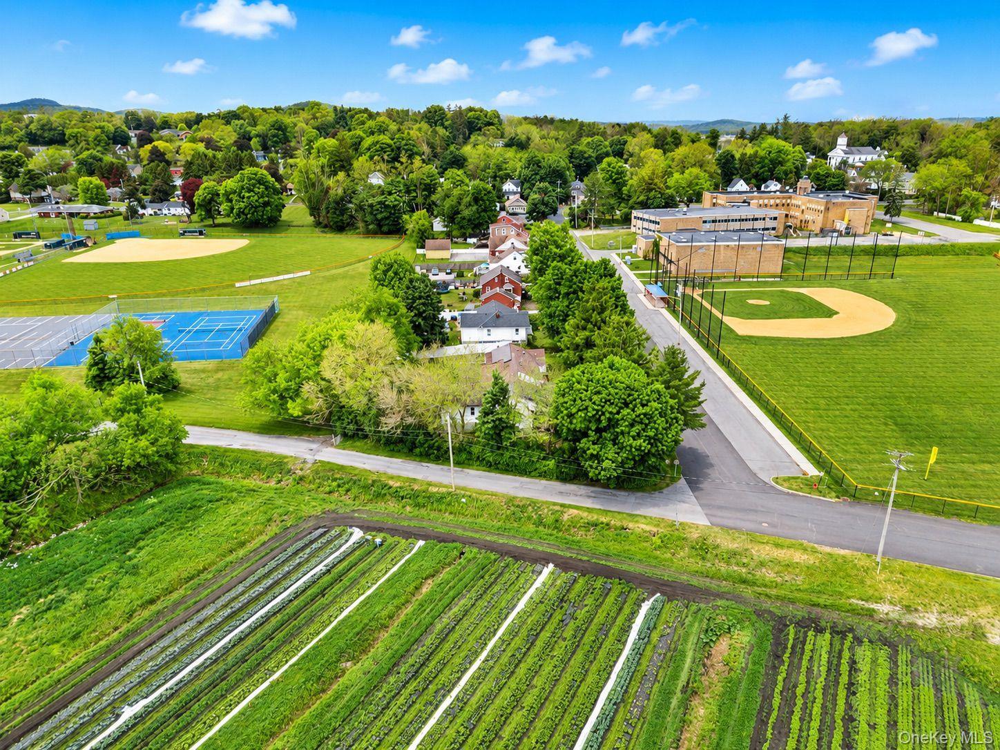 Single Family Walnut Street Orange County, NY 10918, MLS-1004369-4
