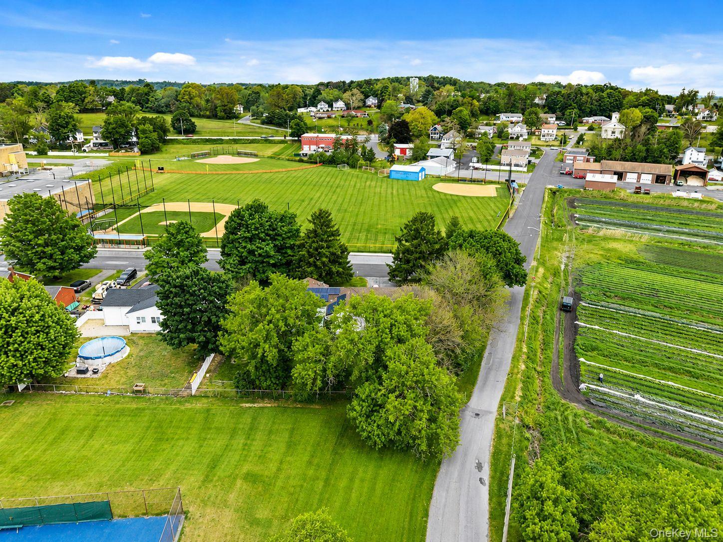 Single Family Walnut Street Orange County, NY 10918, MLS-1004369-5