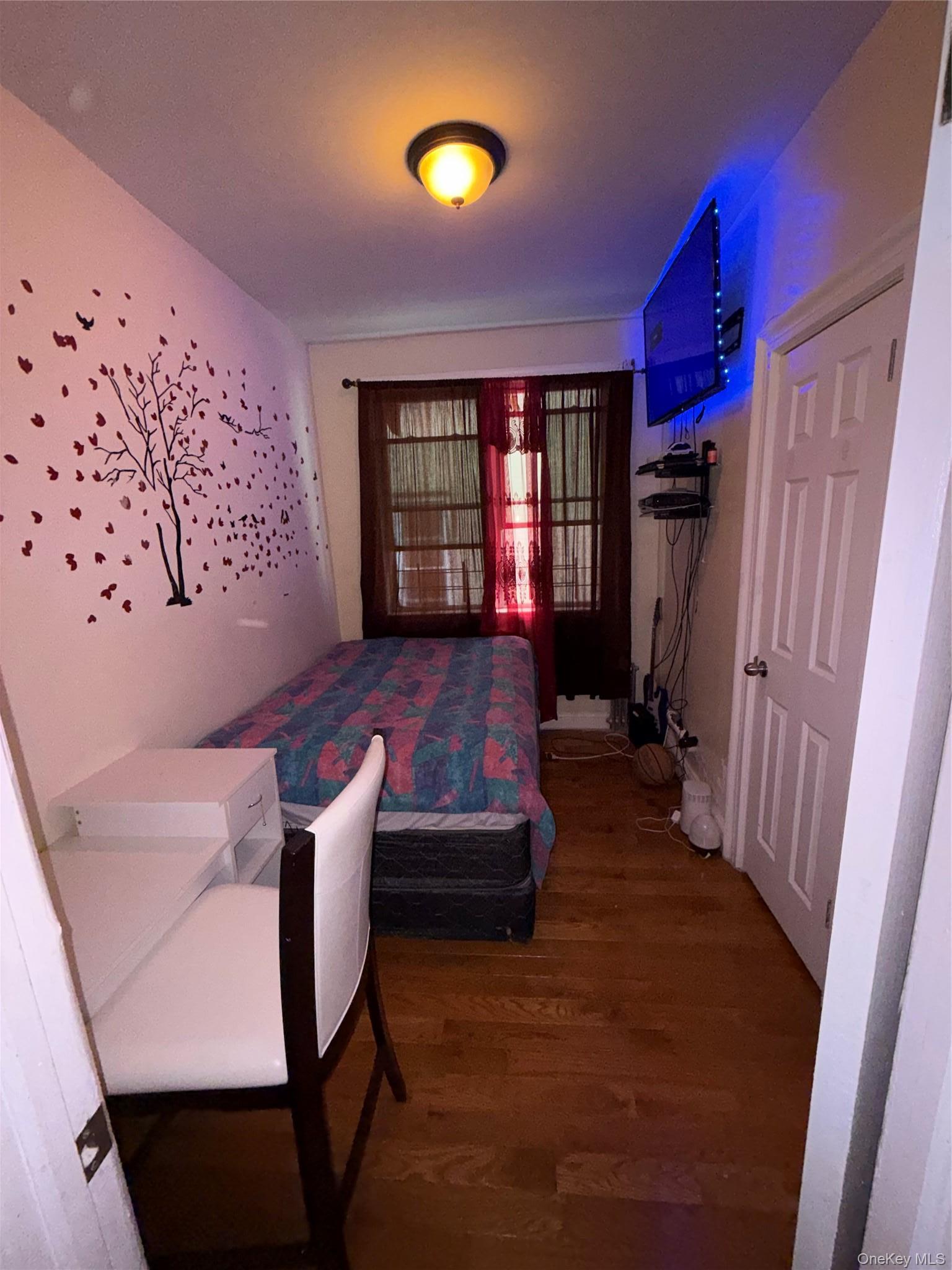 Apartment 53rd  Brooklyn, NY 11203, MLS-1004409-2