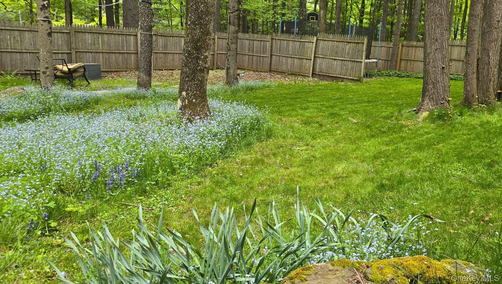 Single Family Ballard Street Sullivan County, NY 12762, MLS-1004410-19