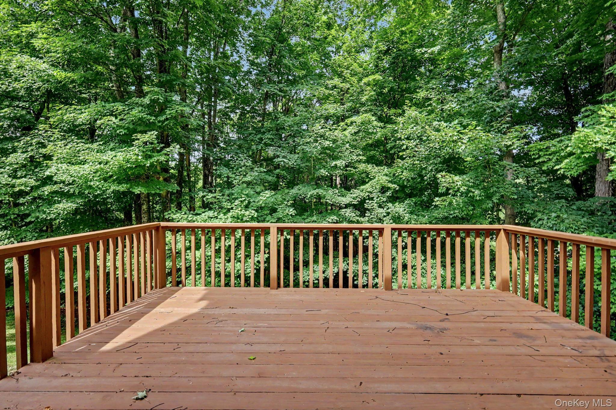Single Family Annes Wood Lane  Westchester County, NY 10549, MLS-1004449-13