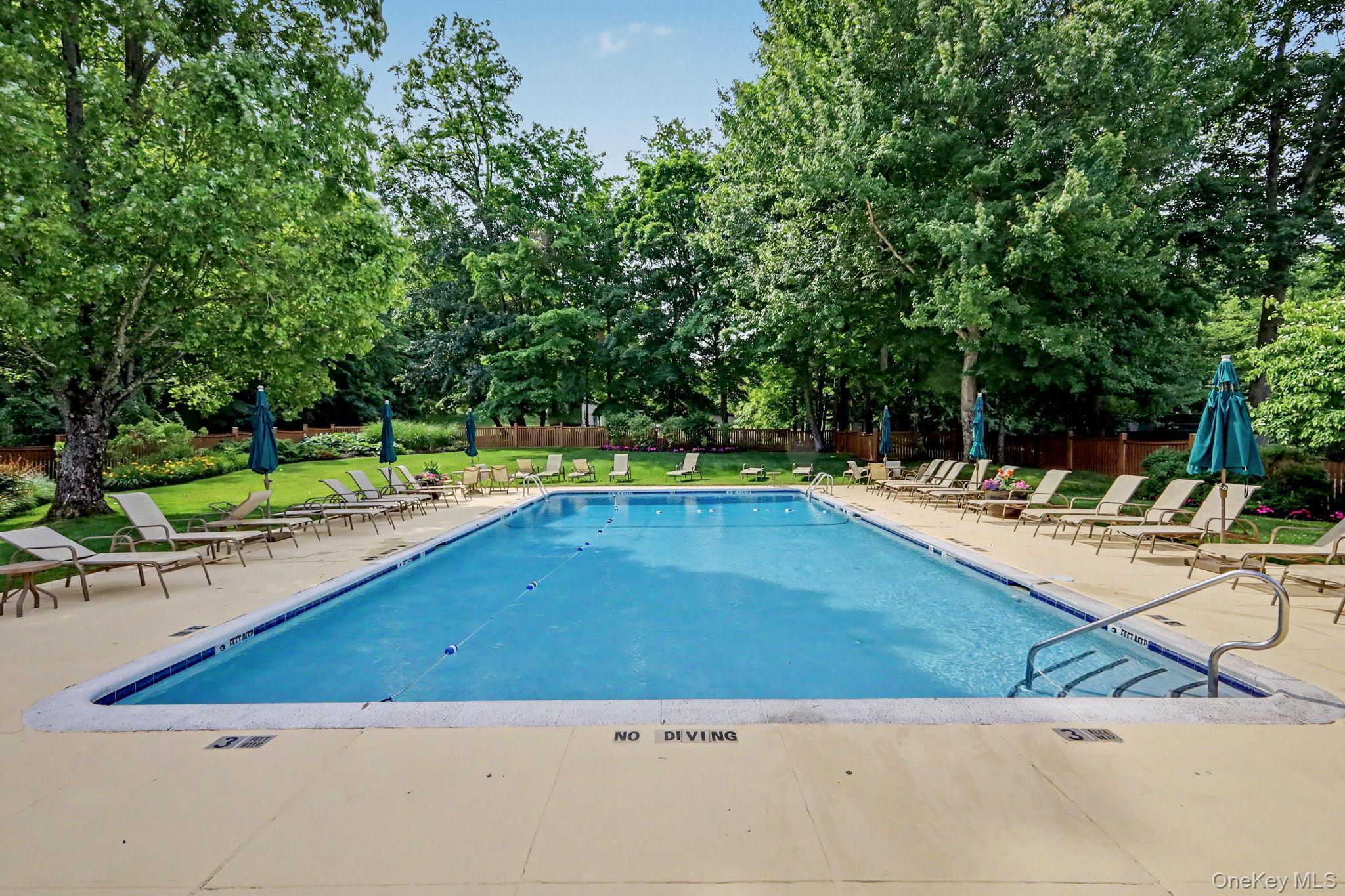 Single Family Annes Wood Lane  Westchester County, NY 10549, MLS-1004449-34