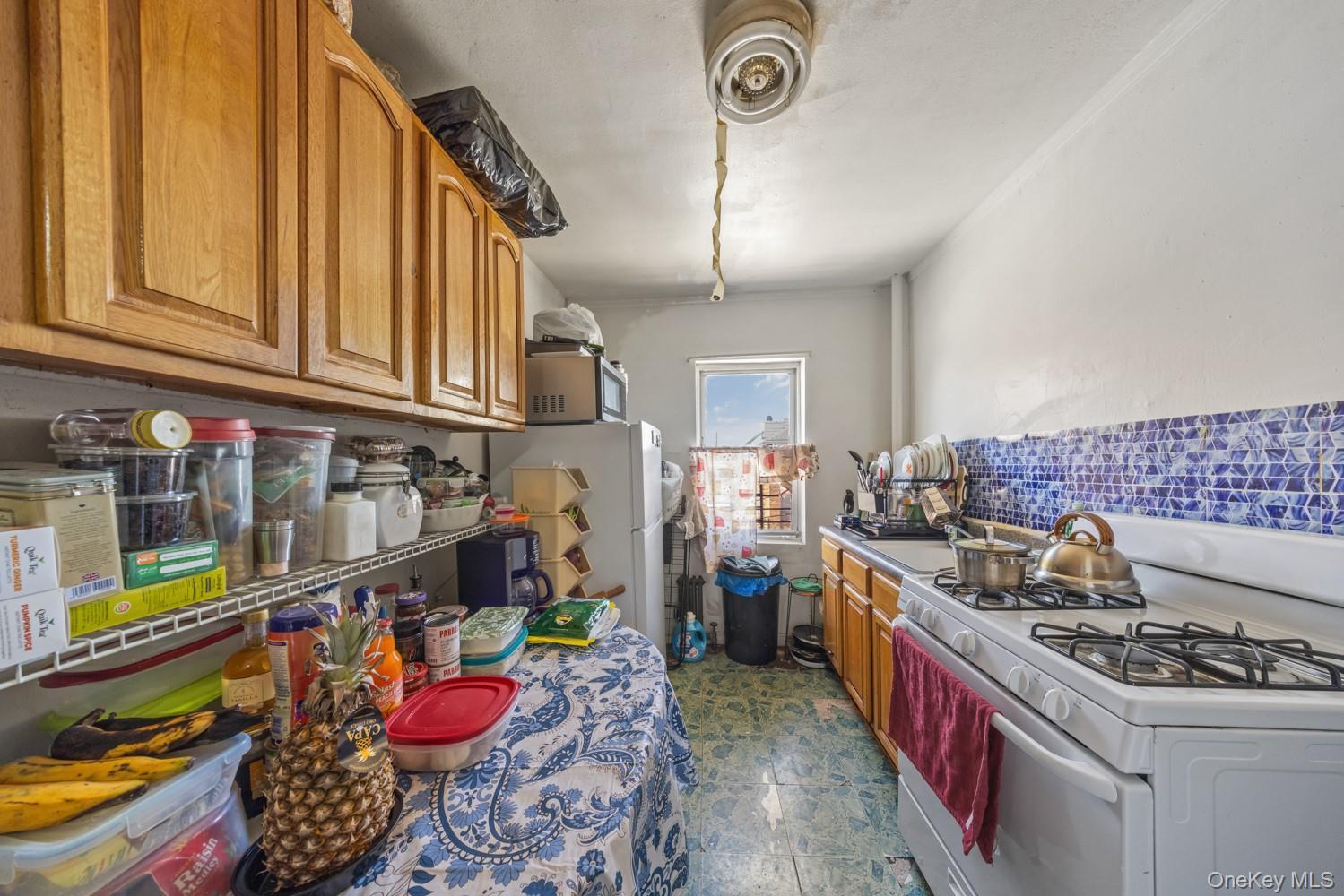 Single Family 113th Queens, NY 11420, MLS-1004511-9