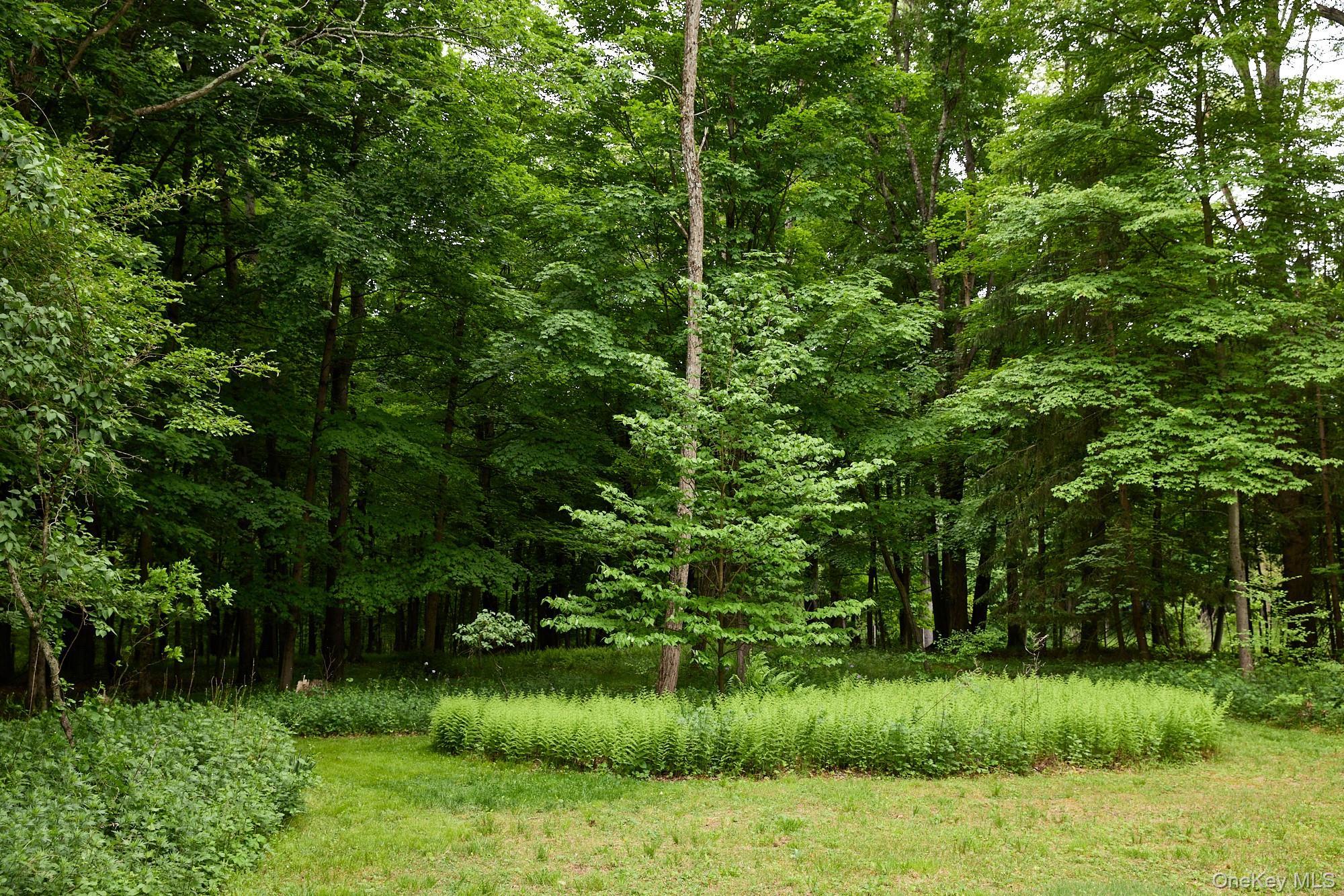 Single Family Plains Road Ulster County, NY 12561, MLS-1004631-34