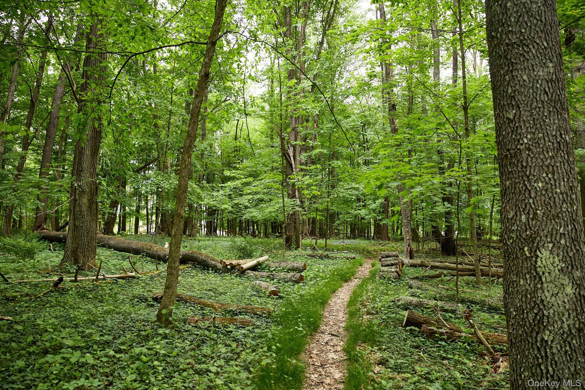 Single Family Plains Road Ulster County, NY 12561, MLS-1004631-35