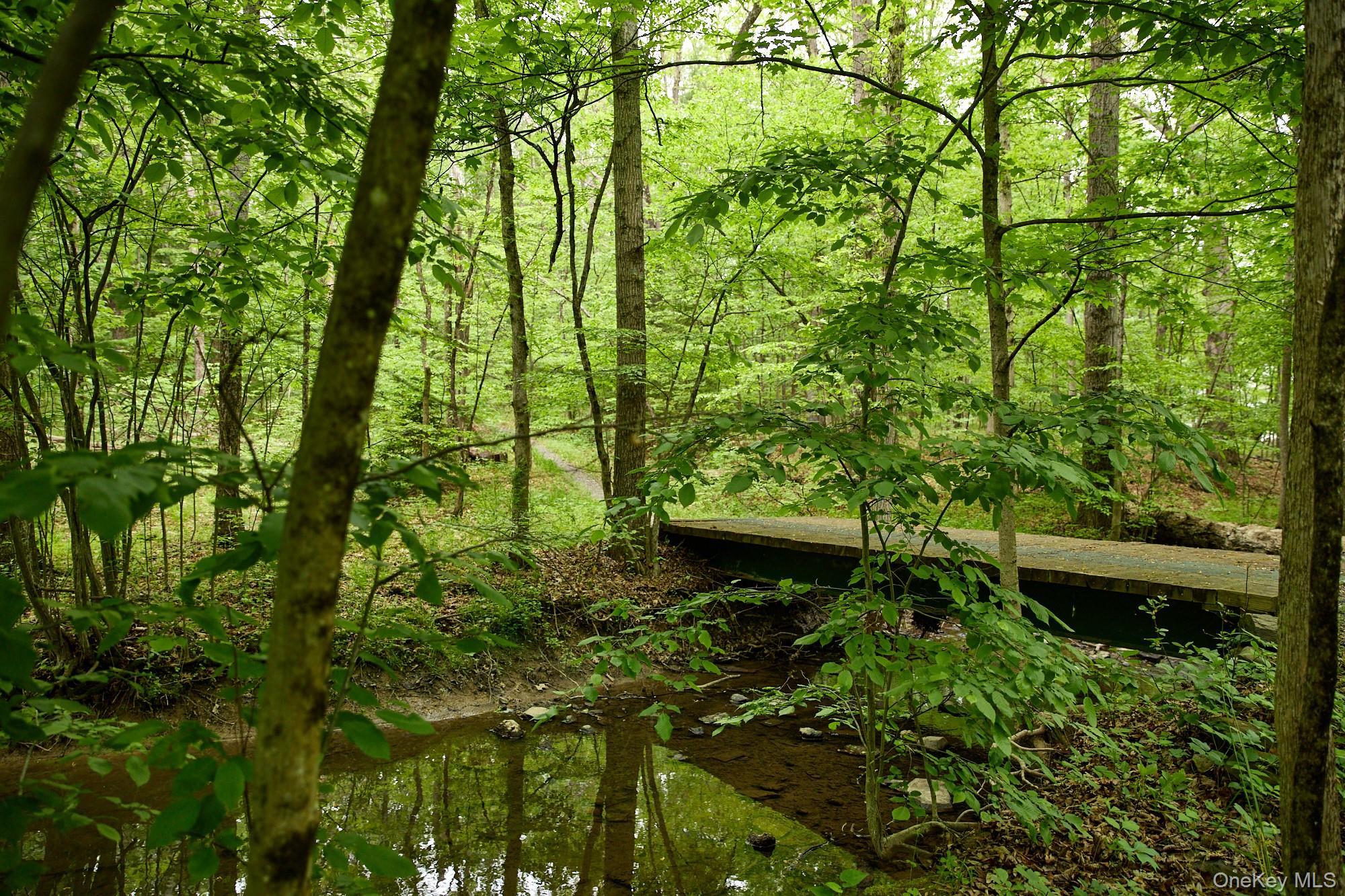 Single Family Plains Road Ulster County, NY 12561, MLS-1004631-36