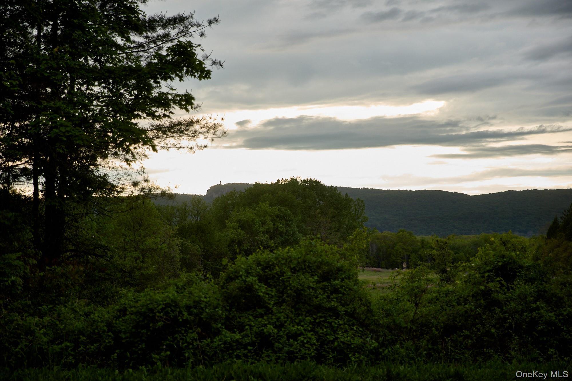 Single Family Plains Road Ulster County, NY 12561, MLS-1004631-42
