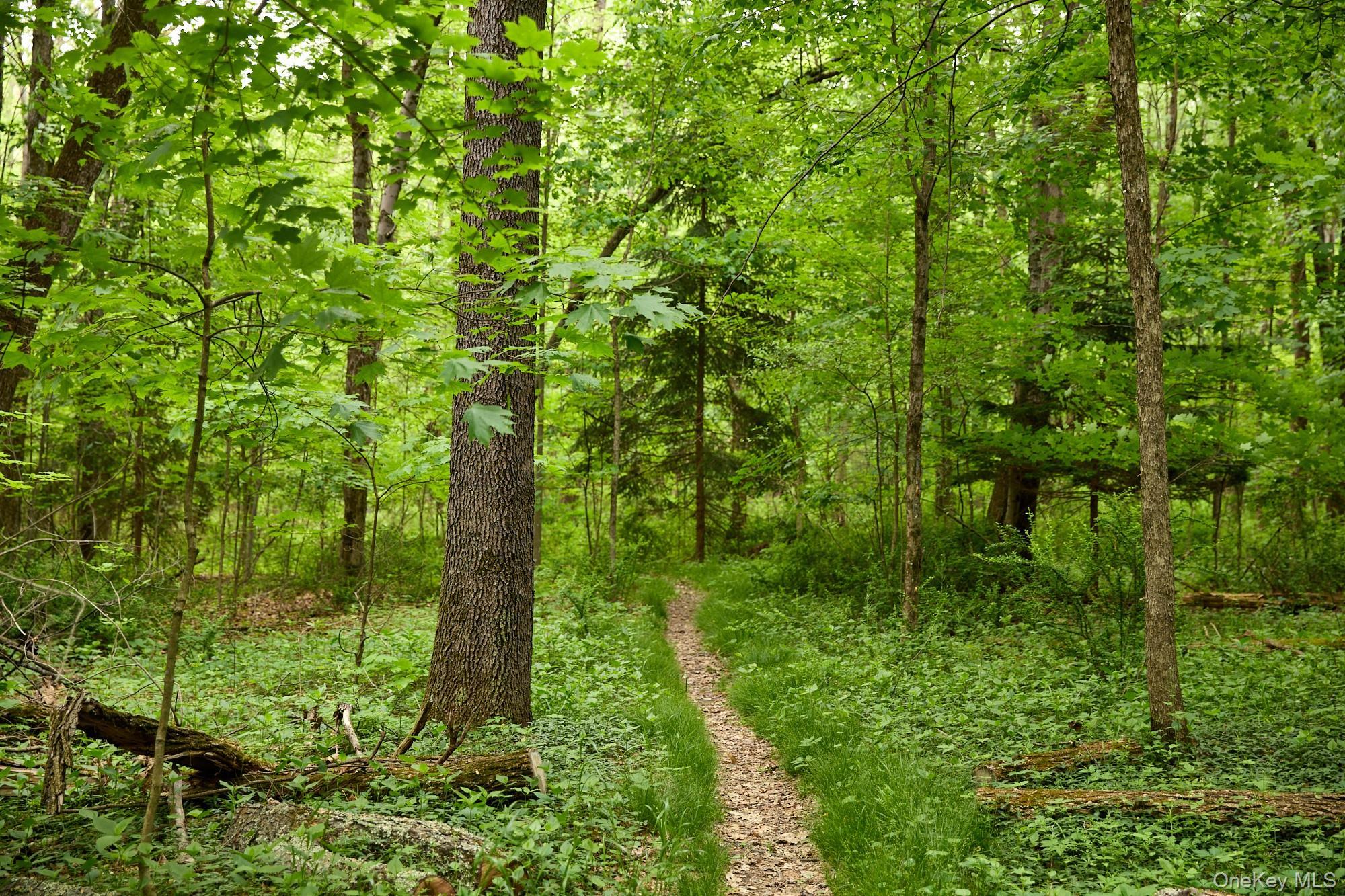 Single Family Plains Road Ulster County, NY 12561, MLS-1004631-6