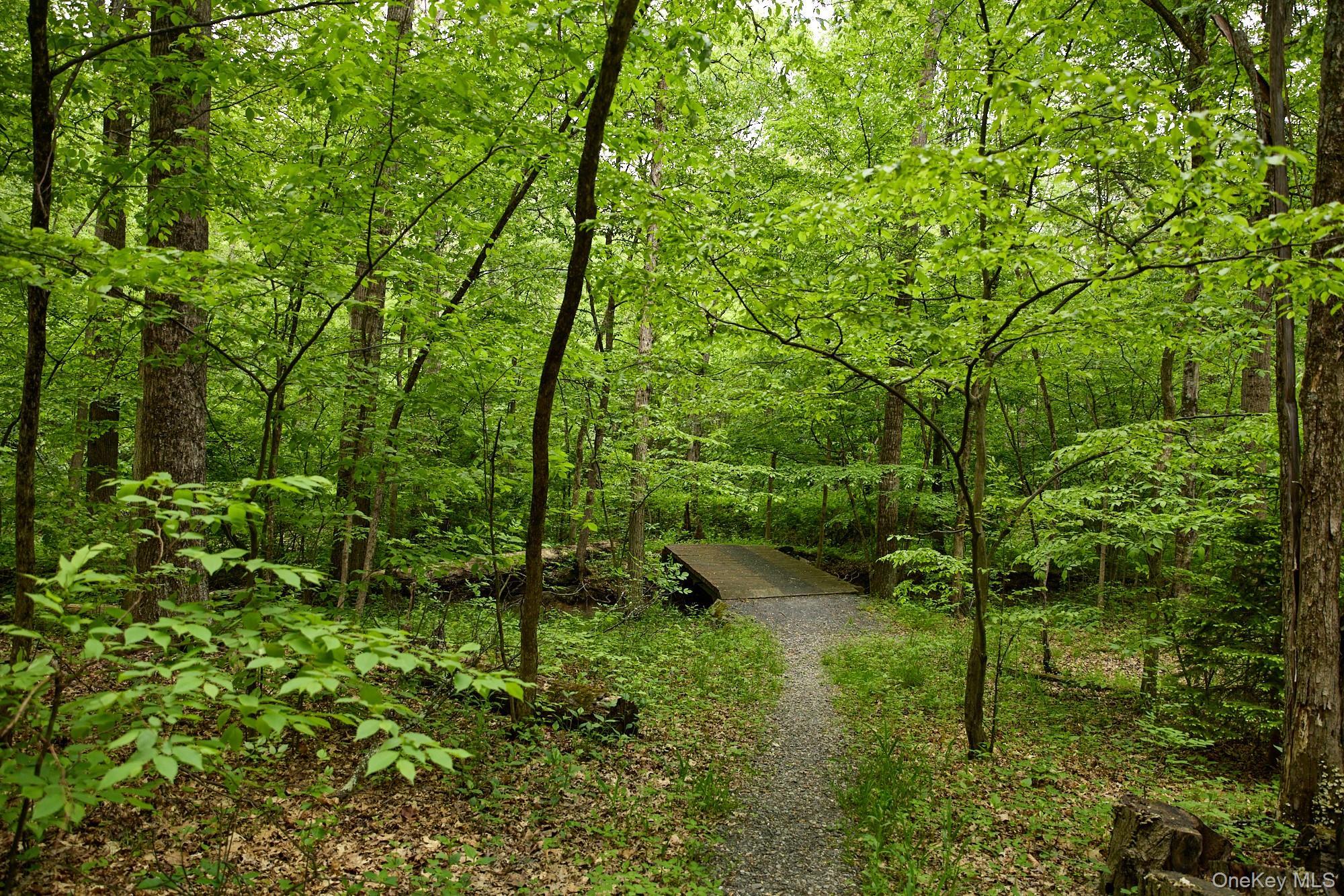 Single Family Plains Road Ulster County, NY 12561, MLS-1004631-7
