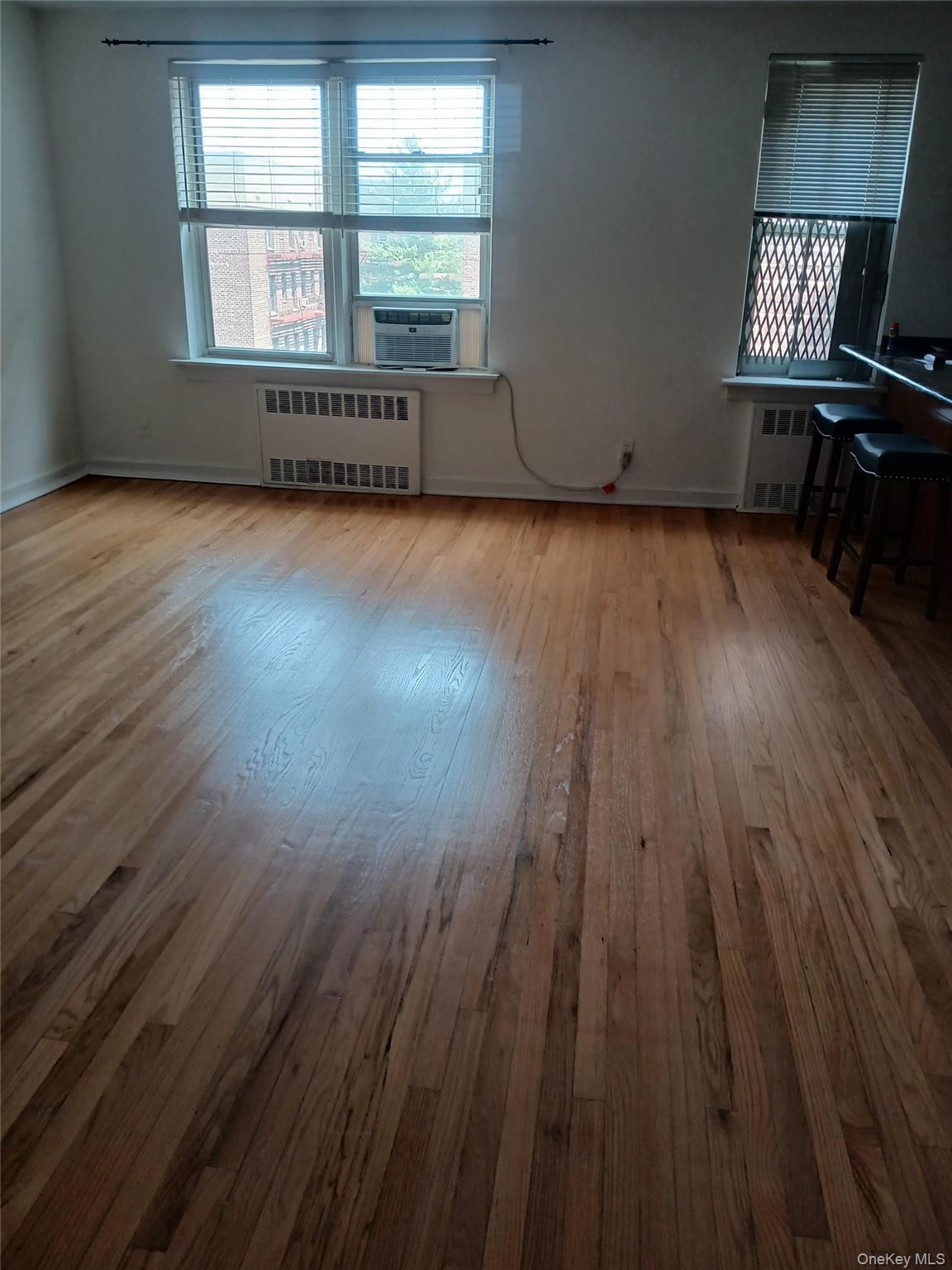 Apartment 66 Queens, NY 11375, MLS-1004829-2