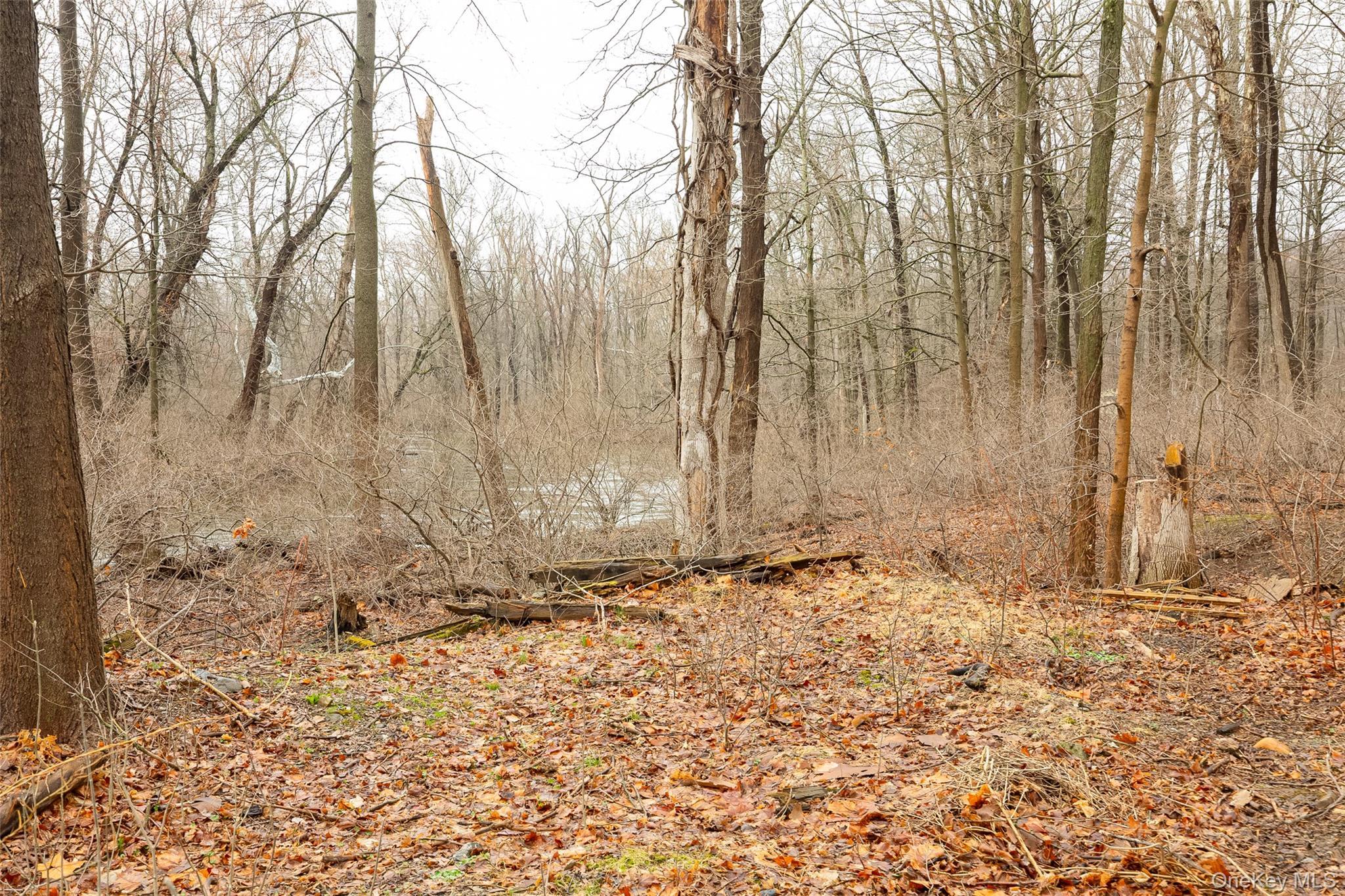 Single Family Old Town Road Dutchess County, NY 12508, MLS-1004846-9