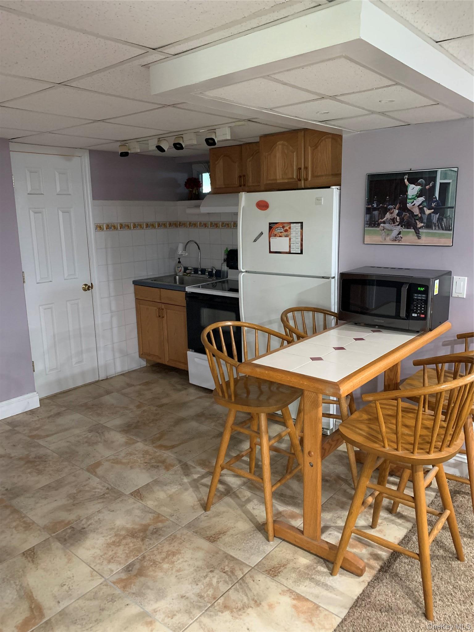 Single Family Terra Lane Nassau County, NY 11710, MLS-1004908-33