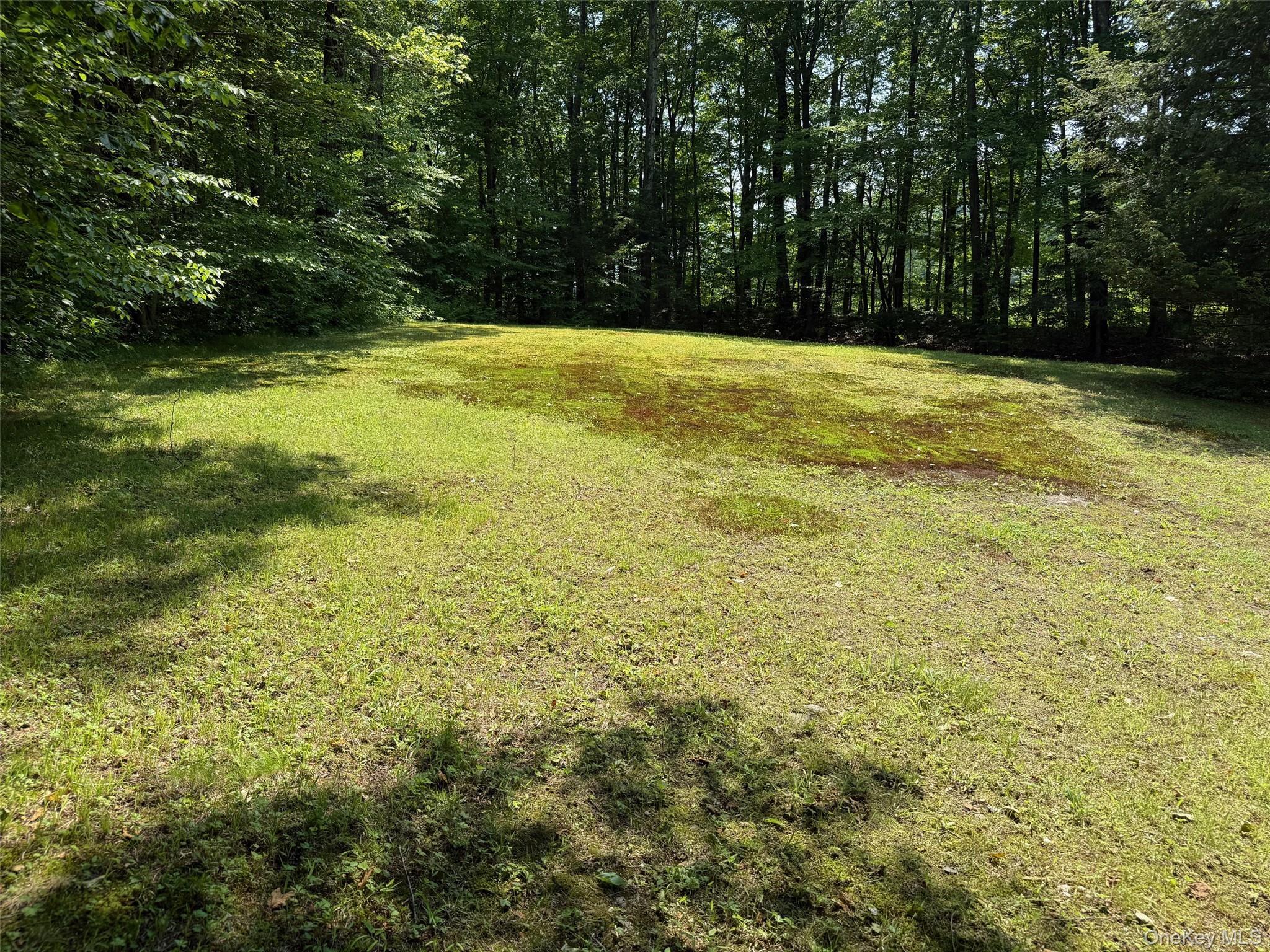 Single Family Cooper Dutchess County, NY 12545, MLS-1004984-18