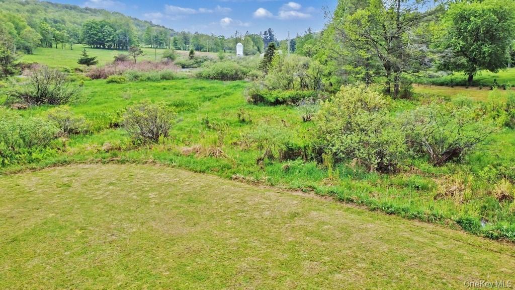 Single Family William Brown Sullivan County, NY 12736, MLS-1004997-10