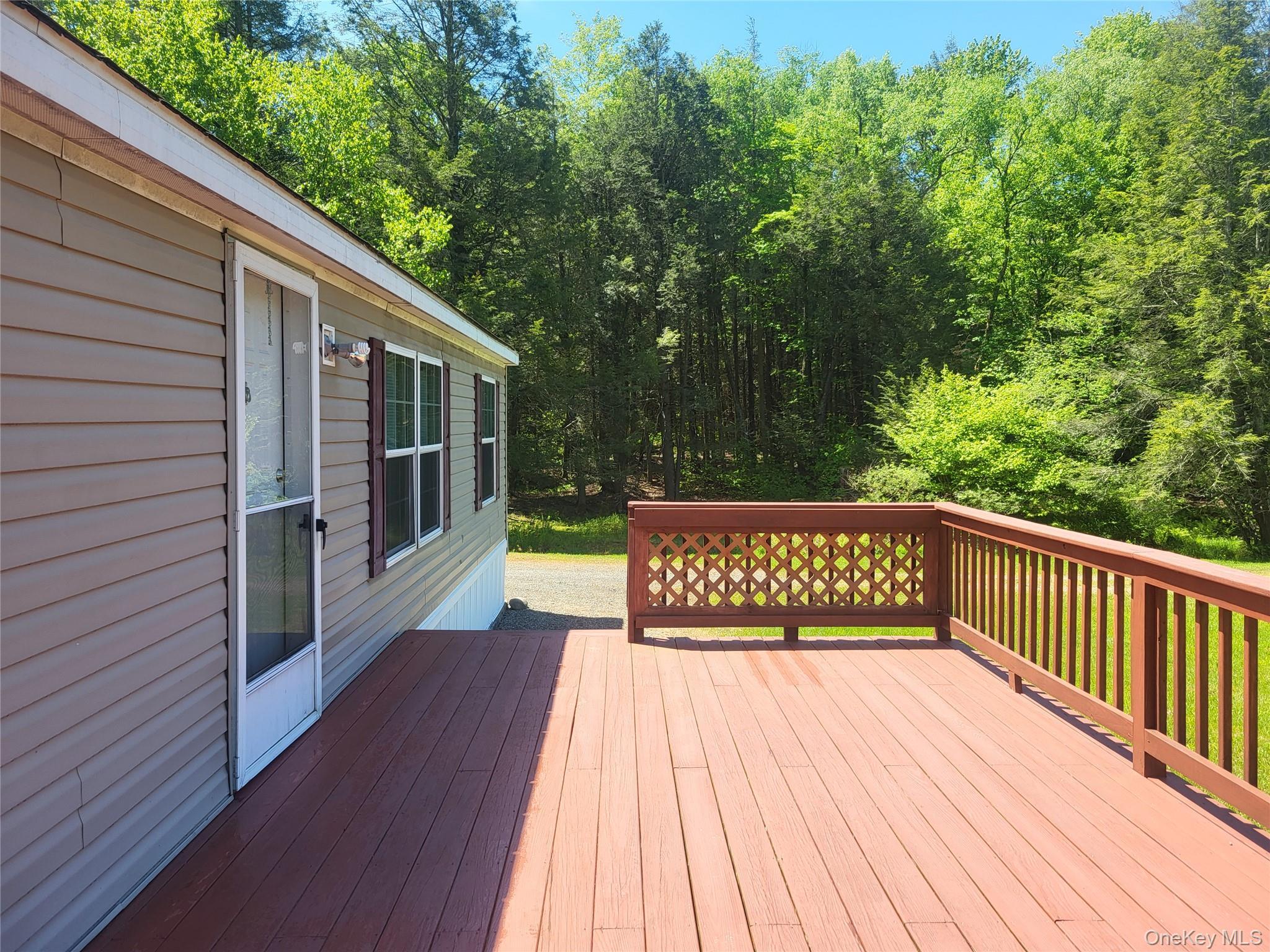 Single Family William Brown Sullivan County, NY 12736, MLS-1004997-13