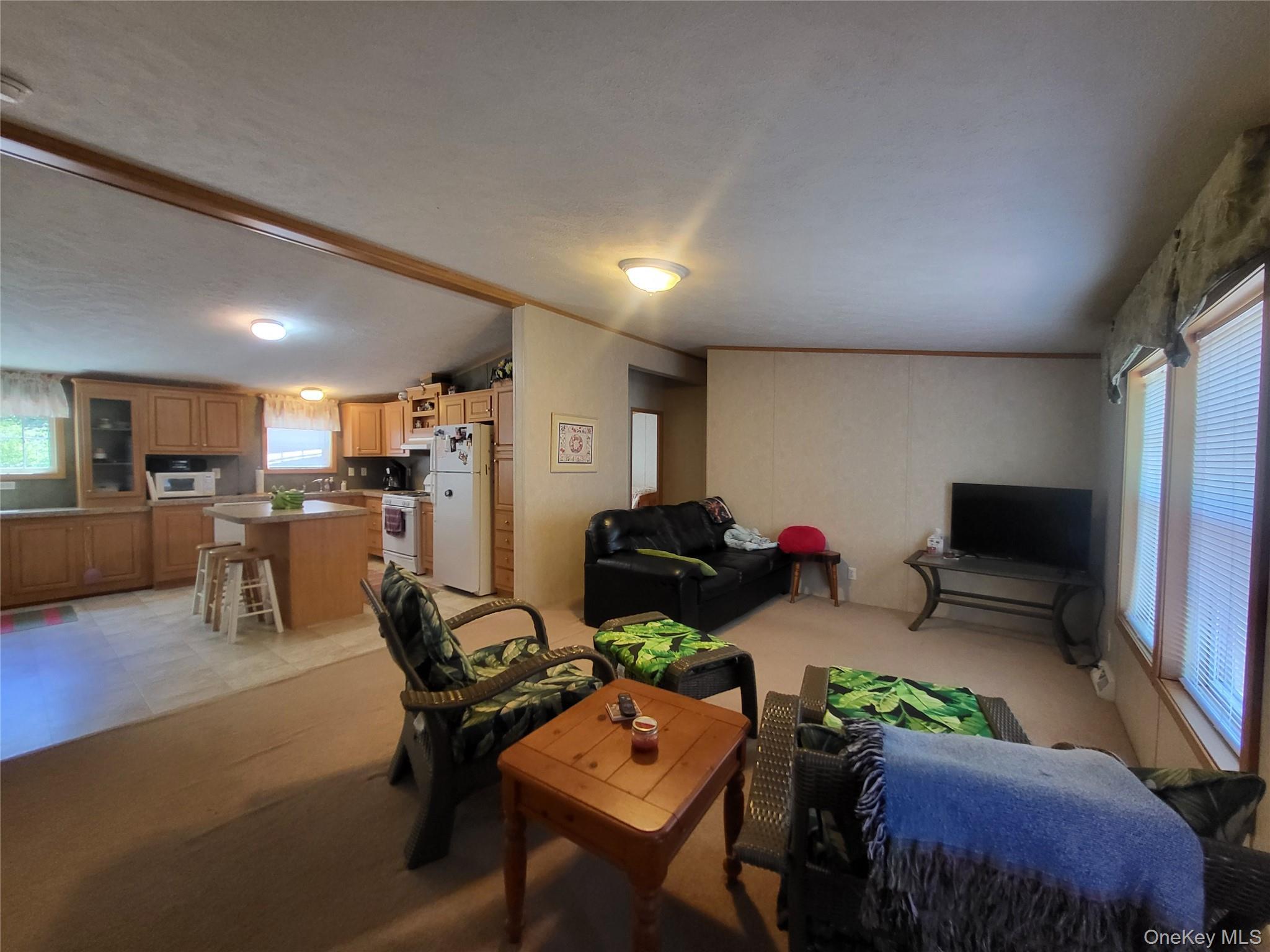 Single Family William Brown Sullivan County, NY 12736, MLS-1004997-15