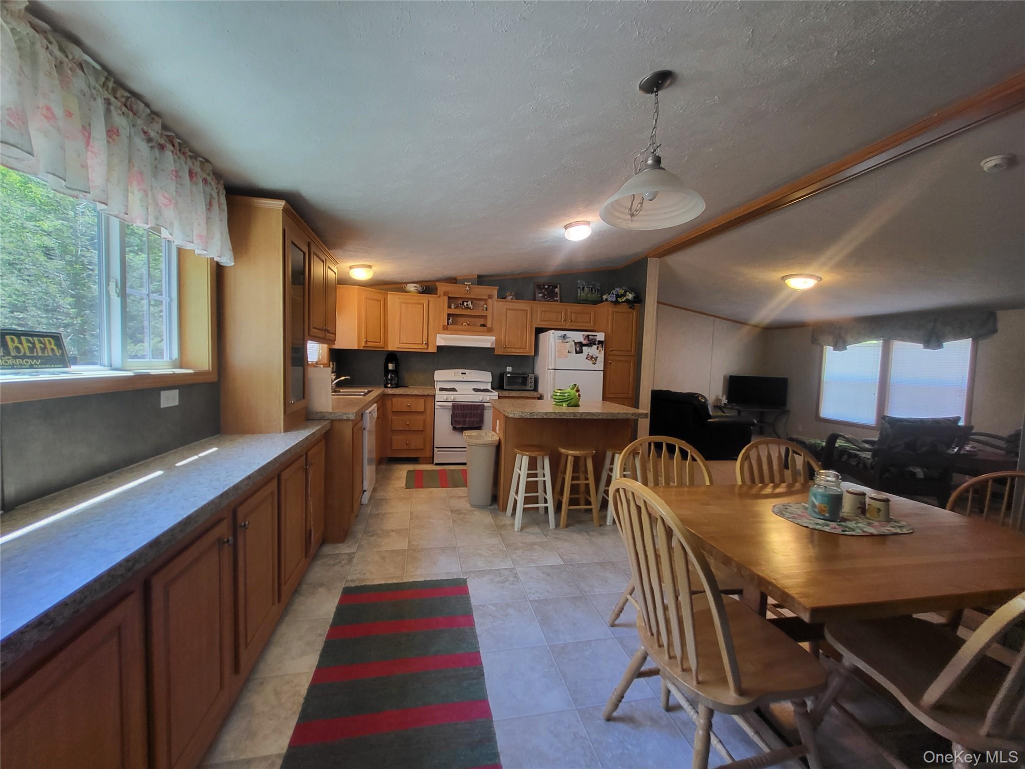 Single Family William Brown Sullivan County, NY 12736, MLS-1004997-17