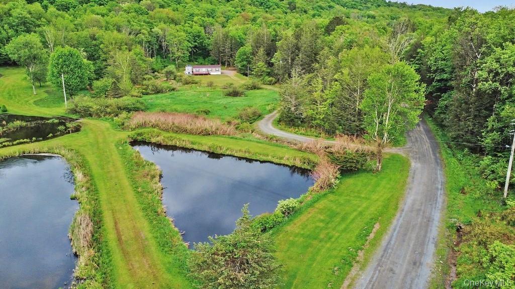 Single Family William Brown Sullivan County, NY 12736, MLS-1004997-2