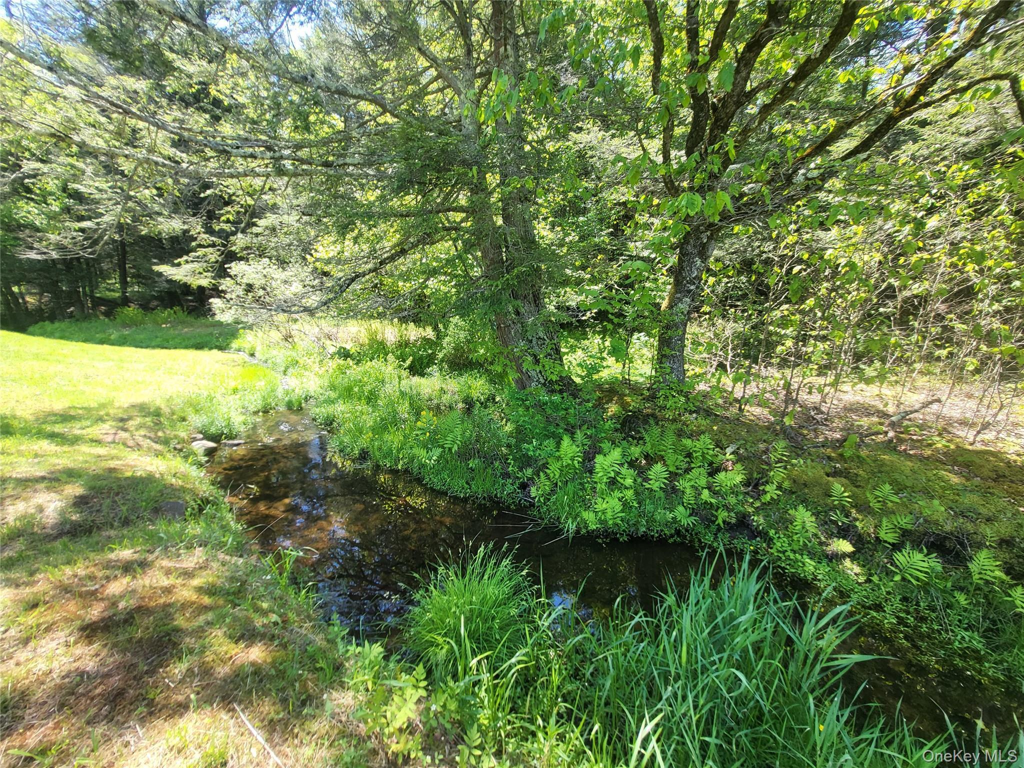 Single Family William Brown Sullivan County, NY 12736, MLS-1004997-30