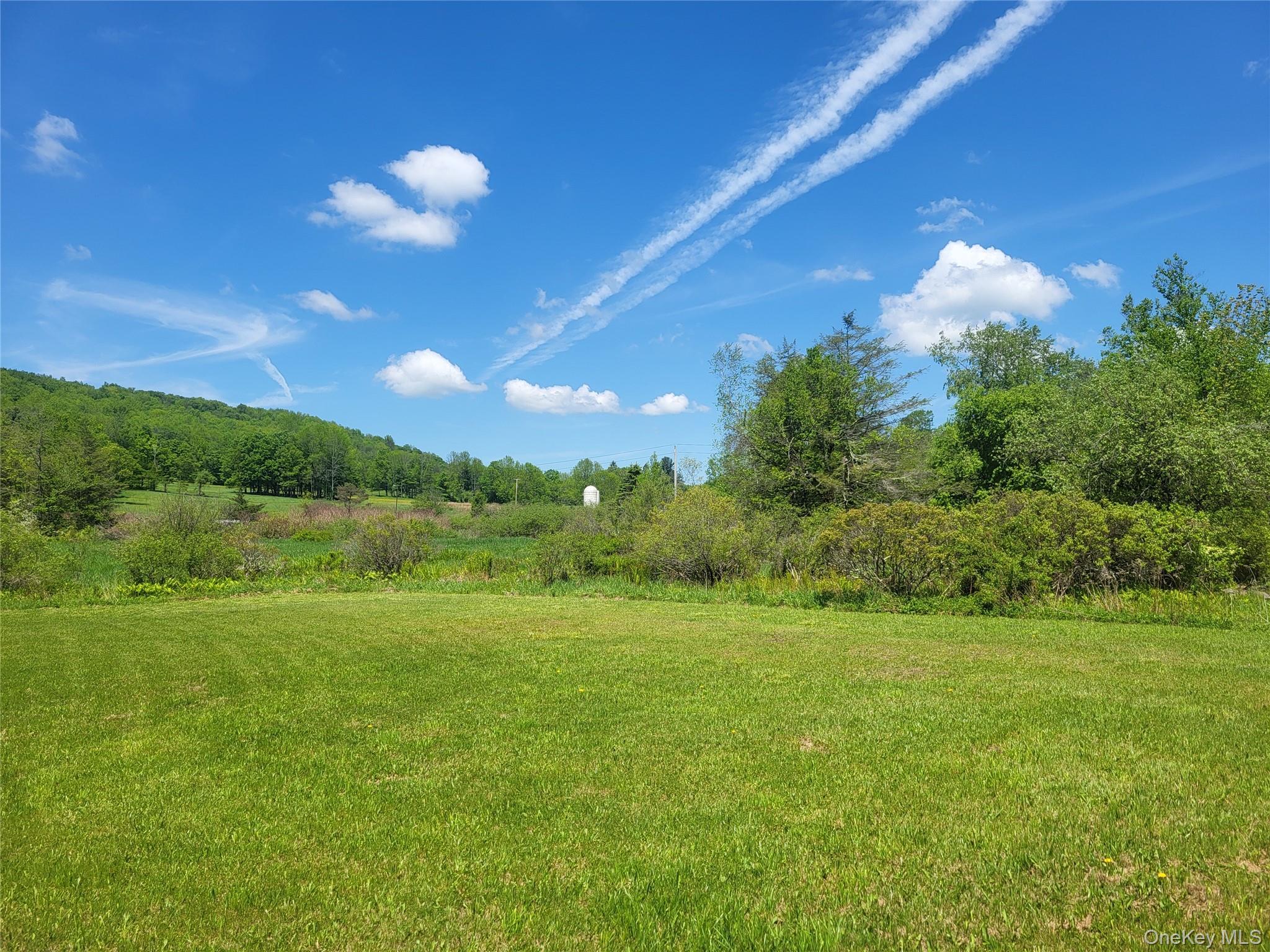 Single Family William Brown Sullivan County, NY 12736, MLS-1004997-31