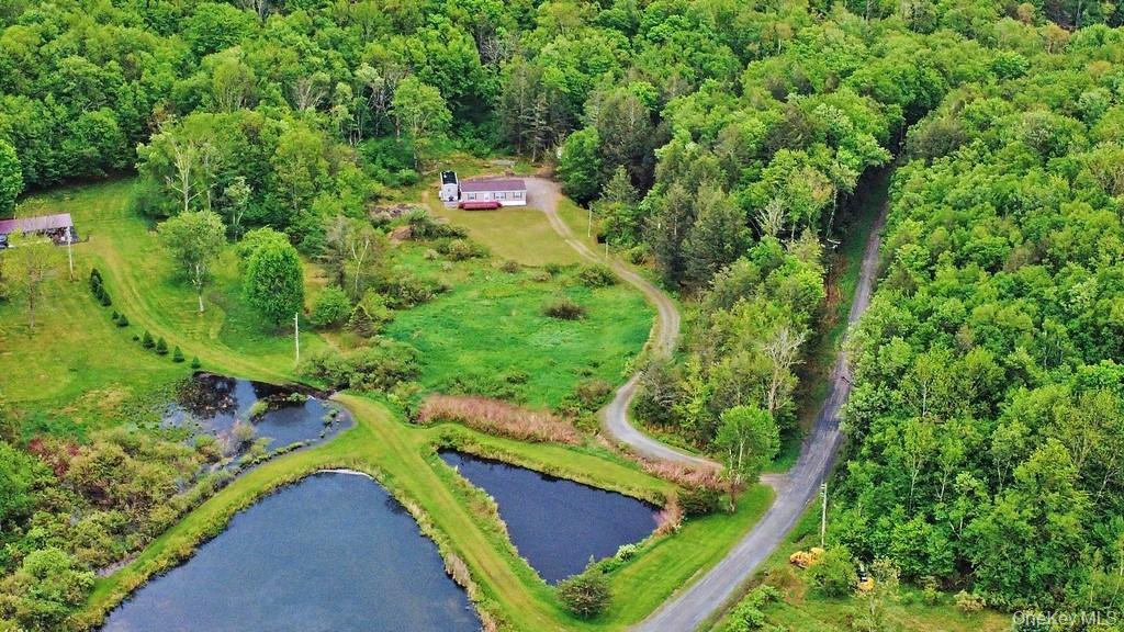 Single Family William Brown Sullivan County, NY 12736, MLS-1004997-32