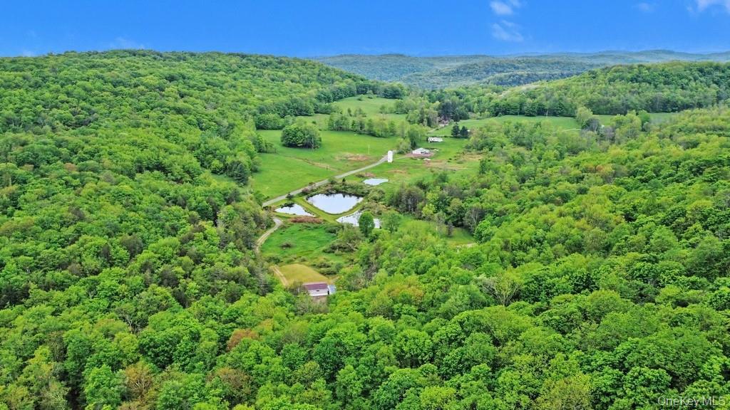 Single Family William Brown  Sullivan County, NY 12736, MLS-1004997-33