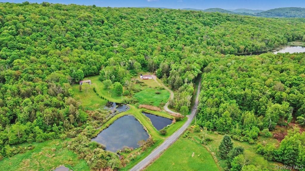 Single Family William Brown Sullivan County, NY 12736, MLS-1004997-5