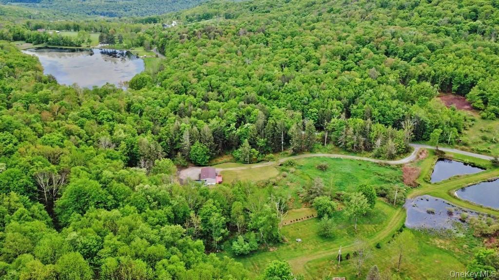 Single Family William Brown Sullivan County, NY 12736, MLS-1004997-6