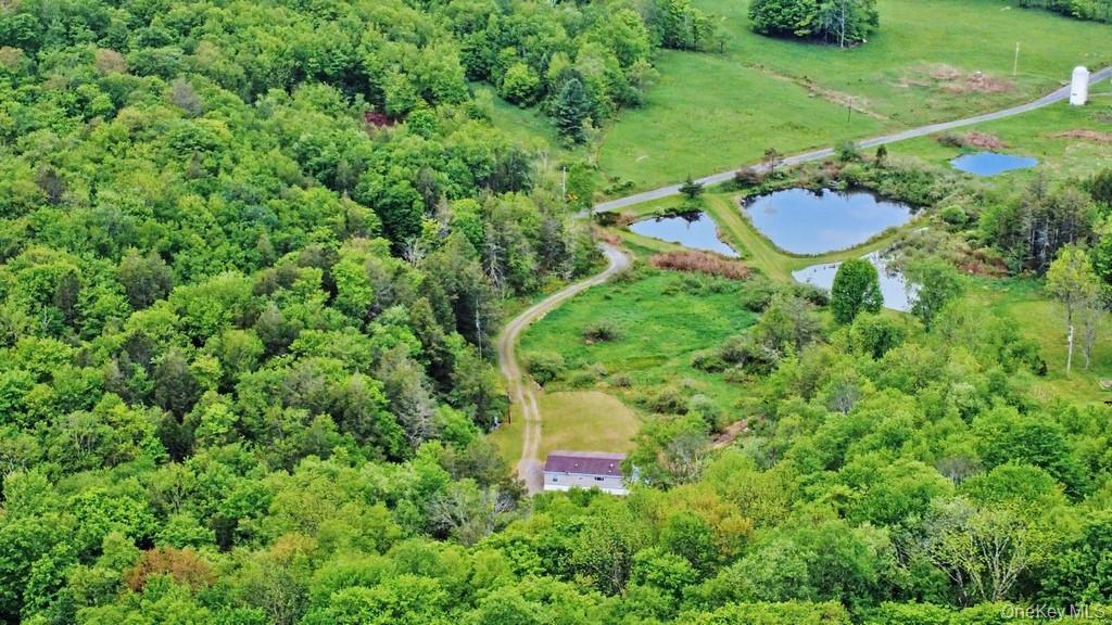Single Family William Brown Sullivan County, NY 12736, MLS-1004997-7