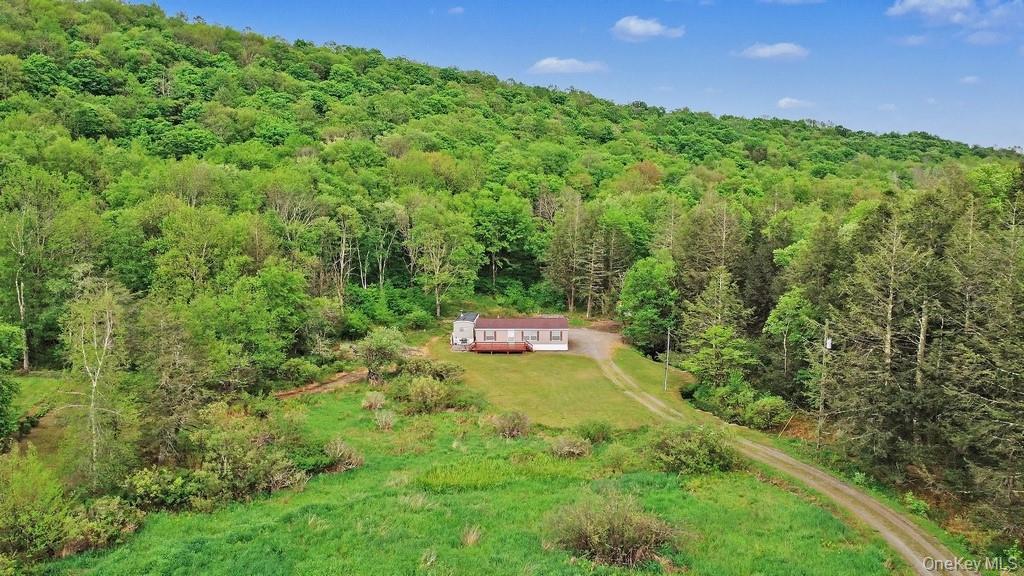 Single Family William Brown Sullivan County, NY 12736, MLS-1004997-8