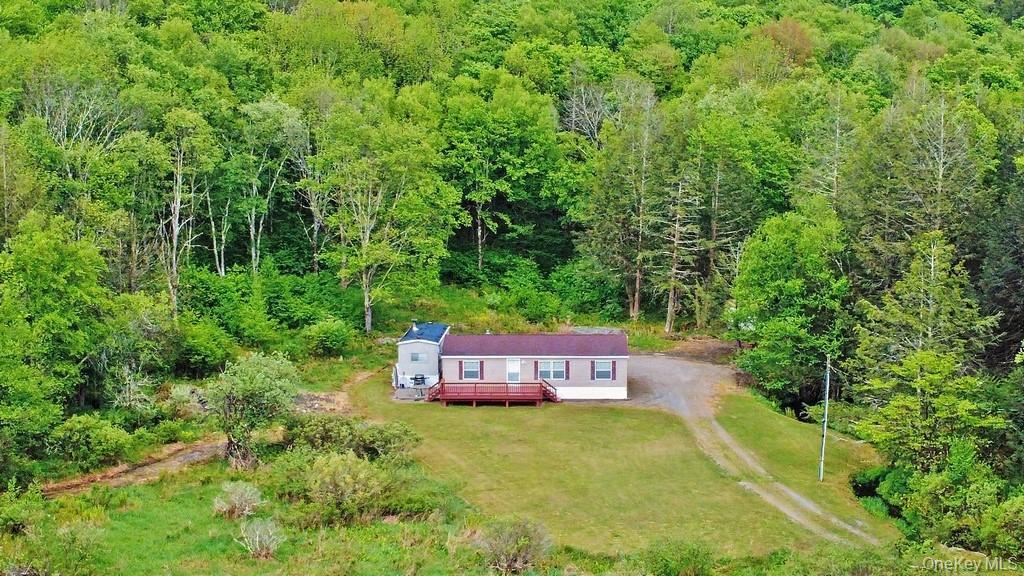 Single Family William Brown Sullivan County, NY 12736, MLS-1004997-9