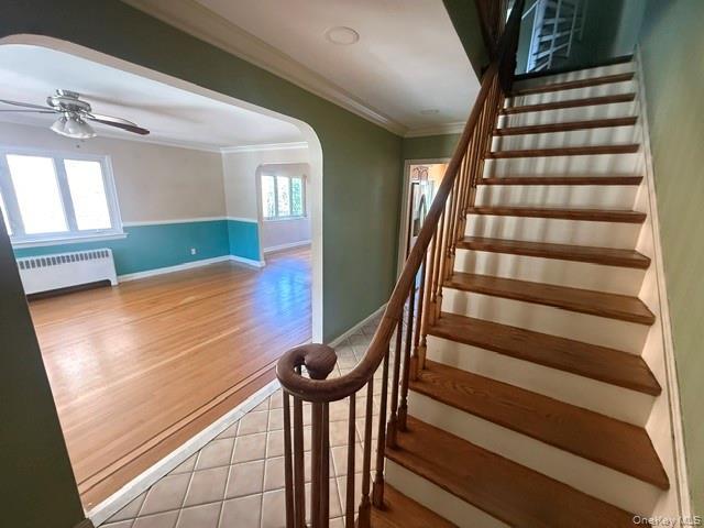 Single Family Hering Bronx, NY 10461, MLS-1005028-10