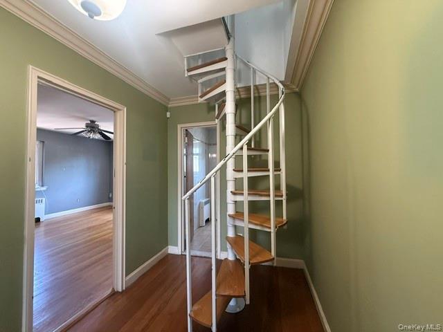 Single Family Hering Bronx, NY 10461, MLS-1005028-16