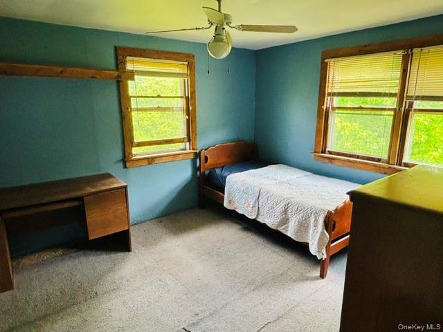 Single Family State Route 82  Columbia County, NY 12502, MLS-1005073-26
