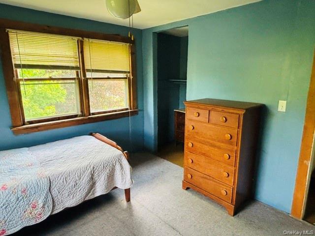 Single Family State Route 82  Columbia County, NY 12502, MLS-1005073-27