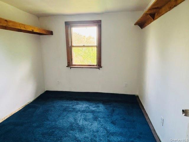 Single Family State Route 82  Columbia County, NY 12502, MLS-1005073-28