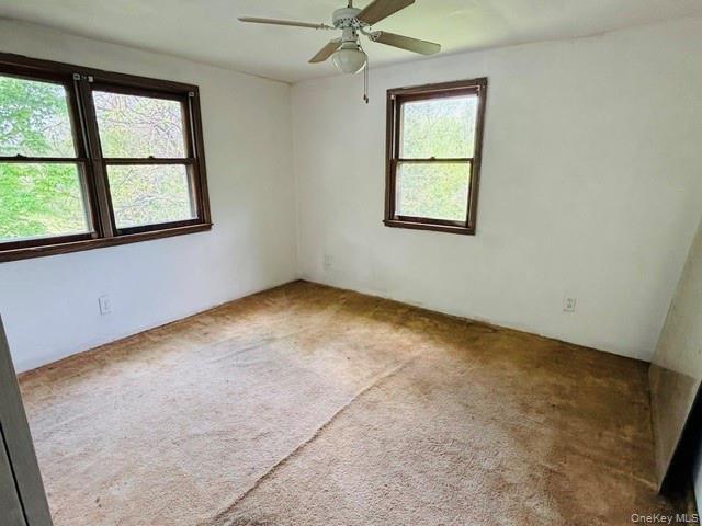Single Family State Route 82  Columbia County, NY 12502, MLS-1005073-29