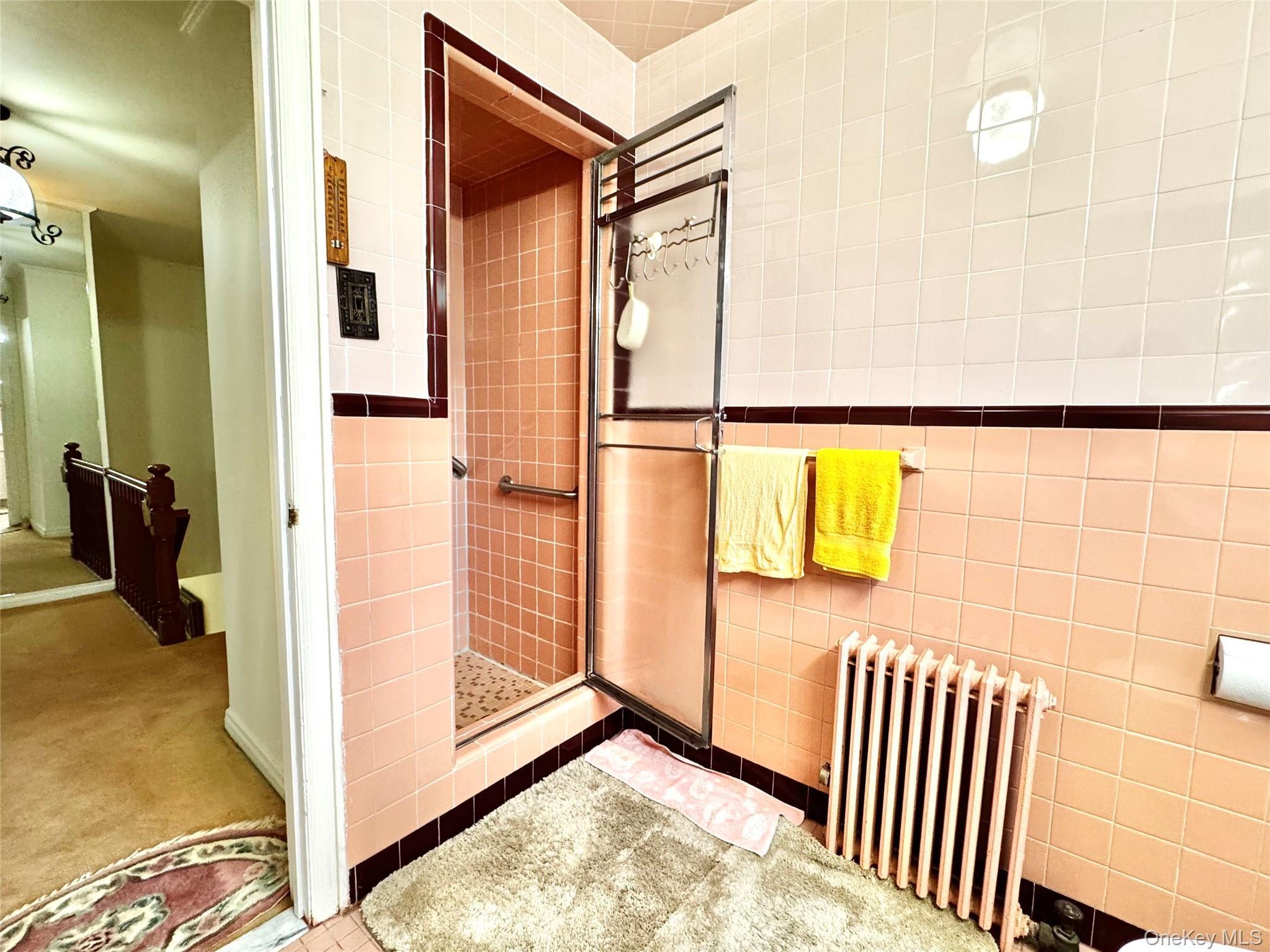 Single Family 150th Street Queens, NY 11357, MLS-1005082-15