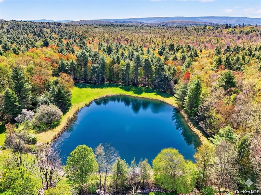 Single Family Spook Hole Road Ulster County, NY 12428, MLS-1005105-24