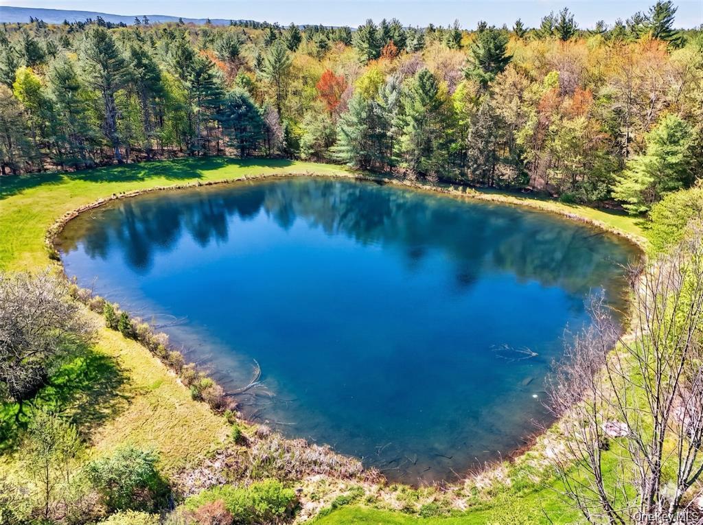 Single Family Spook Hole Road Ulster County, NY 12428, MLS-1005105-26