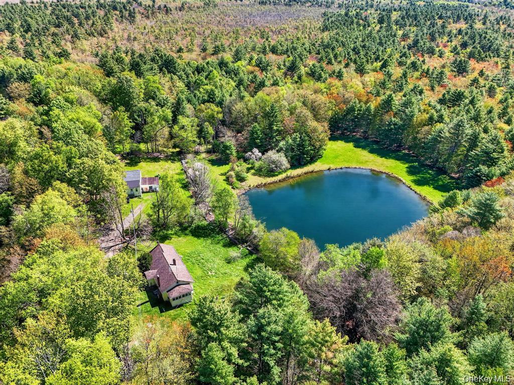 Single Family Spook Hole Road  Ulster County, NY 12428, MLS-1005105-29
