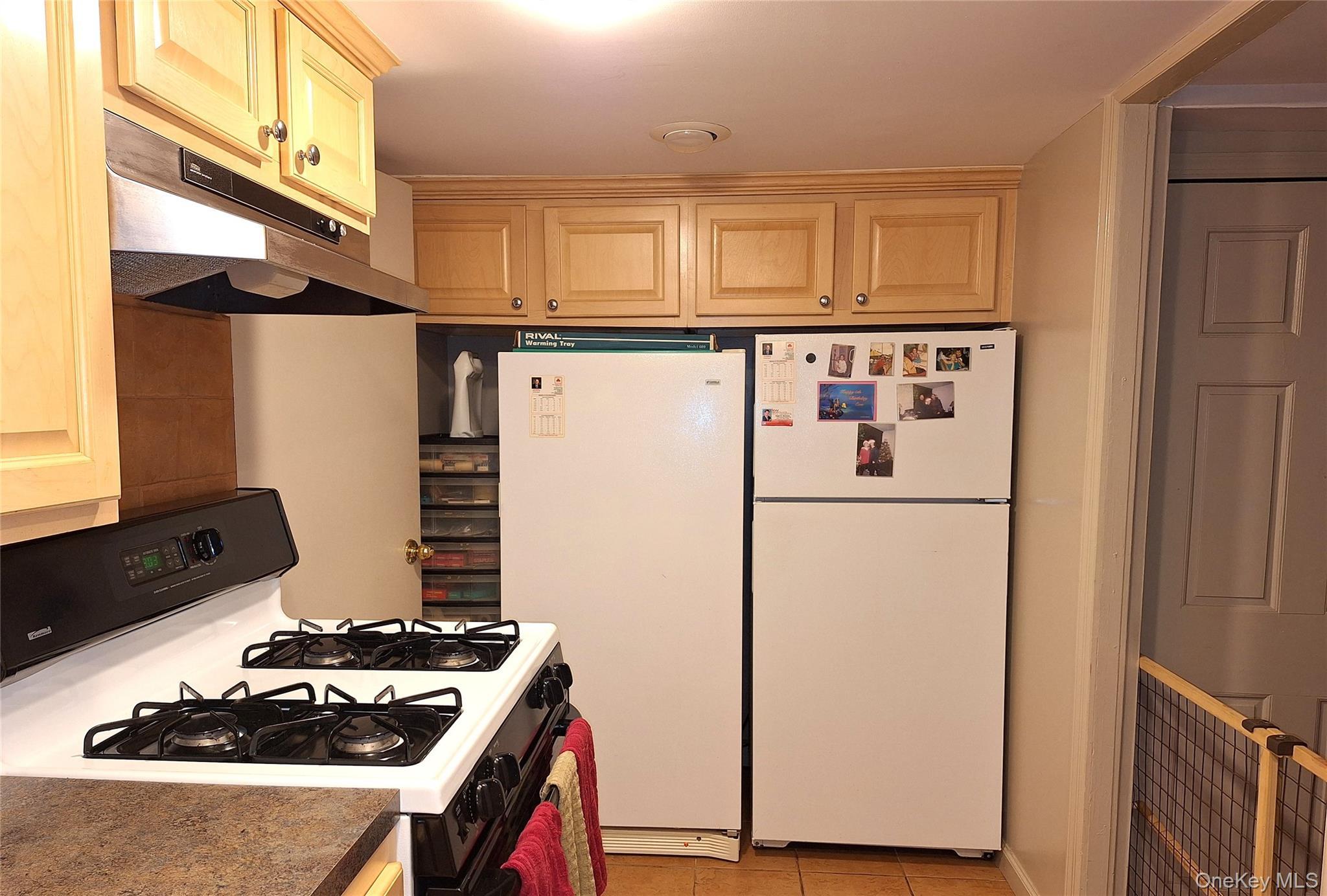 Single Family 96th  Queens, NY 11421, MLS-1005142-29
