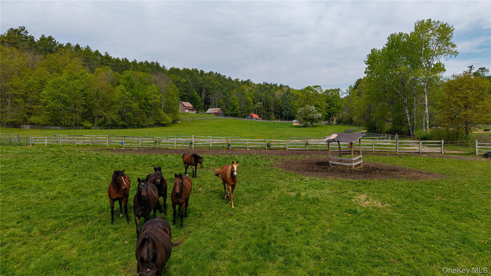 Single Family Pucker Street Warren County, NY 12885, MLS-1005148-16