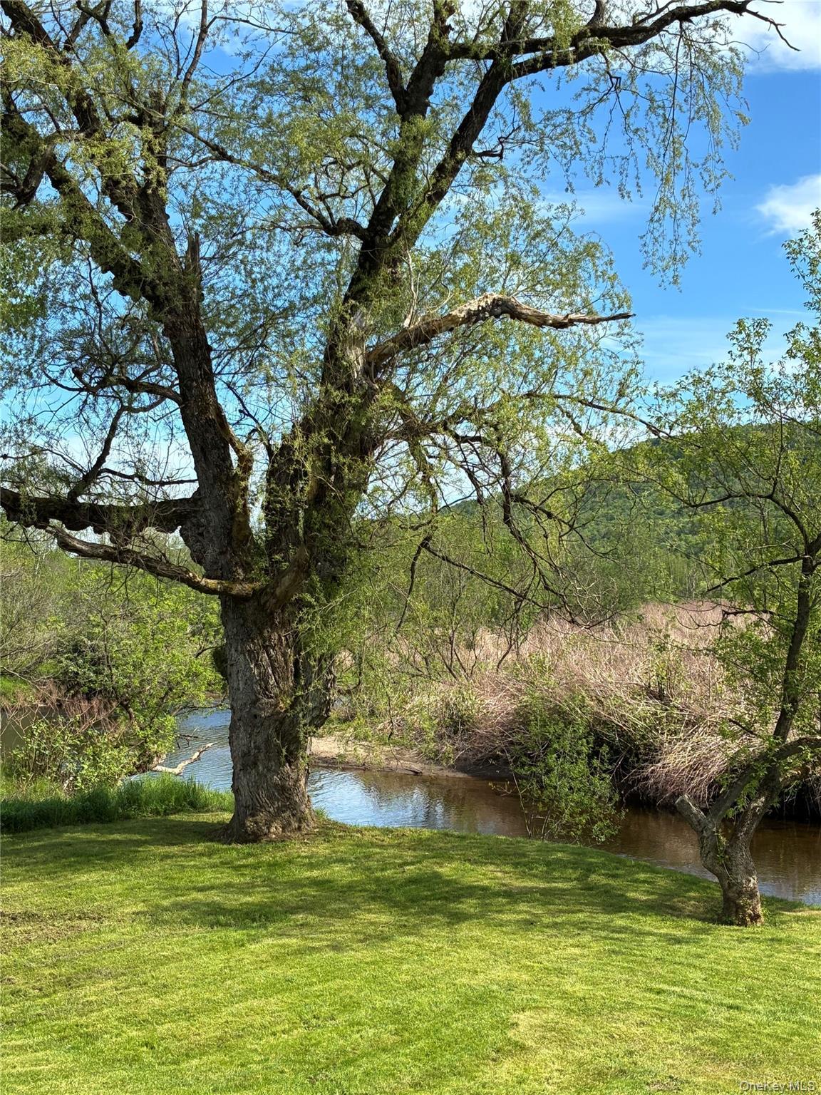 Single Family Old Route 17  Sullivan County, NY 12758, MLS-1005183-9