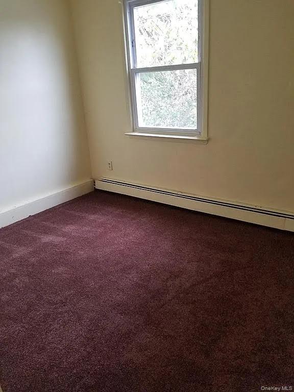 Single Family Caney  Queens, NY 11422, MLS-1005199-10