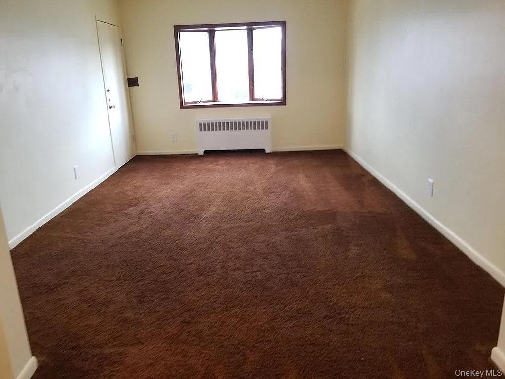 Single Family Caney  Queens, NY 11422, MLS-1005199-8